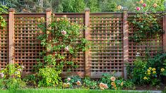 a wooden fence with roses growing on it and green grass in the foreground below