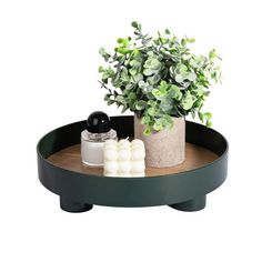 a potted plant sitting on top of a wooden tray next to two white balls