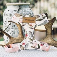 two deer antlers are sitting on a table