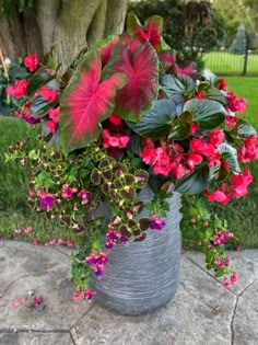 a potted plant with red and pink flowers on the ground next to a tree