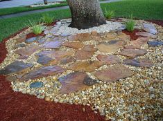 a tree in the middle of a garden with rocks and gravel on it's sides