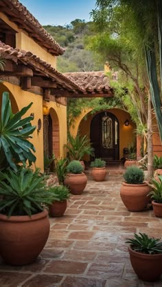 a house with many potted plants in front of it and an entry way leading to the home