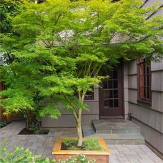 a small tree in a wooden planter next to a house