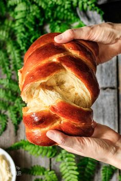 a person holding a piece of bread in their hand