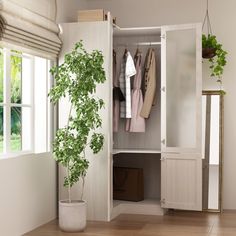 an open closet with plants and clothes hanging on the door, in front of a window