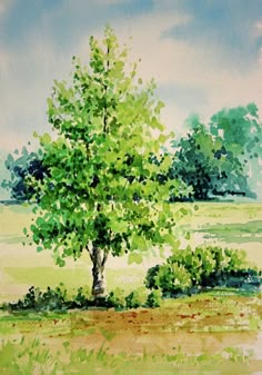 a watercolor painting of a tree in the middle of a grassy field with blue sky and clouds