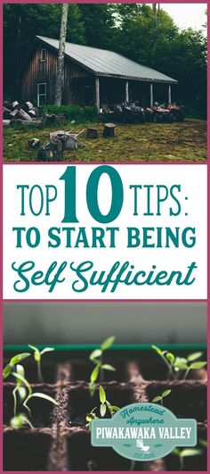 the top ten tips to start being self sufficient