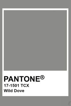 the pantone gray color is shown in this image, and it's not very dark