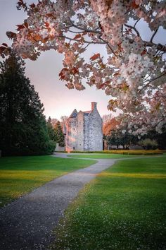 a large building sitting on top of a lush green field next to a tree filled with flowers