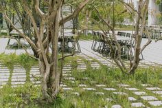 an outdoor seating area with tables and chairs in the grass, surrounded by small trees