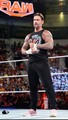 hes back💪🏽 Diy Wwe, Cm Punk Aj Lee, Celebrity Actors, Wrestling Pictures, Wwe Men, Robin Costume, Wwe Pictures, Aj Lee