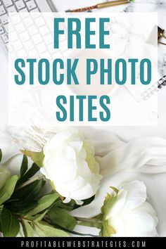 white flowers with text overlay that reads free stock photo sites