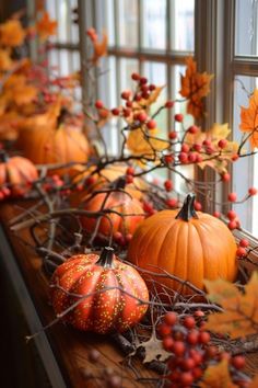 pumpkins and berries are arranged on a window sill