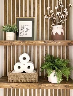 some shelves with toilet paper and plants on them