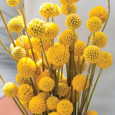 a vase filled with yellow flowers on top of a table