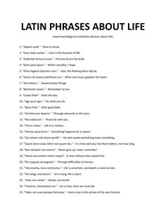 latin phrases about life in english and spanish