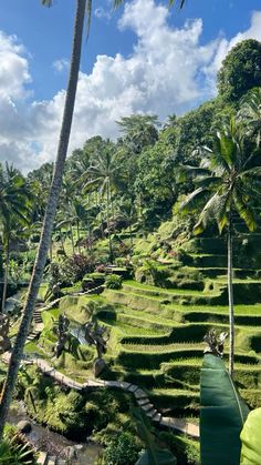 Amazing travel places Ubud Bali Aesthetic, Bali Rice Fields, 2024 Holidays, Manifest 2024, Aesthetic Culture, Bali Aesthetic, Jungle Aesthetic, Bali Baby, Ubud Indonesia