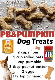 an advertisement for pumpkin dog treats on a table