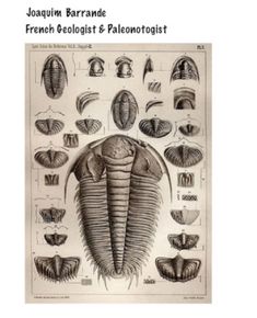 an insect diagram showing the different parts of its body and head, with other details