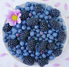 blueberries and blackberries in a white bowl with a pink flower on the side