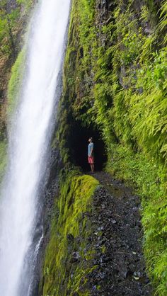 a person standing in front of a waterfall