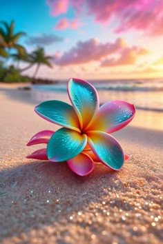 a colorful flower sitting on top of a sandy beach next to the ocean and palm trees