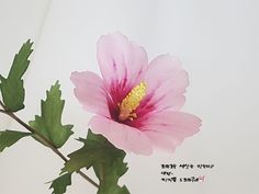 한지로 만든 한지꽃 무궁화 조화공예 : 네이버 블로그 Creative Mind, Kitchen Tool, Flower Decorations, South Korea, Wood