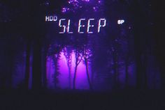 the words sleep are lit up in the dark forest