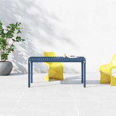 two yellow chairs and a blue table in front of a white wall with a potted plant