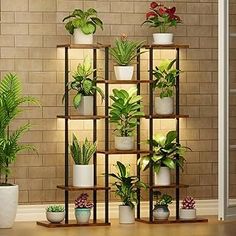 there are many potted plants on the shelves next to each other in front of a brick wall