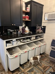 a dog is standing in the kitchen next to some trash can's and bins