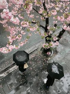 two people with umbrellas are standing on the sidewalk in the rain near a tree