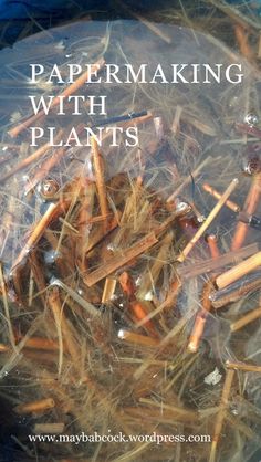 a bag full of sticks with the words papermaking with plants in it