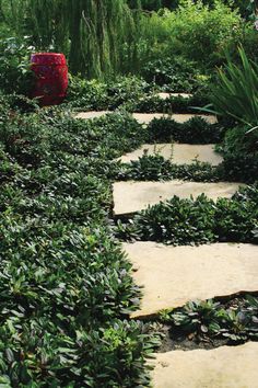 a stone path in the middle of a garden