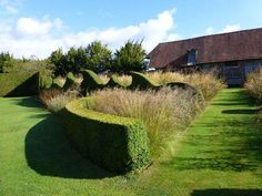 an outdoor garden area with grass and bushes