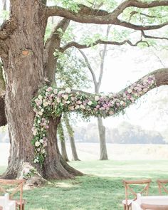 an outdoor wedding setup under a large tree