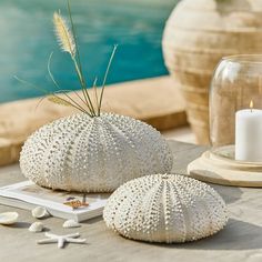 two white sea urns sitting on top of a table next to a candle