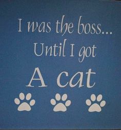 a blue sign with white writing on it that says i was the boss until i got a cat