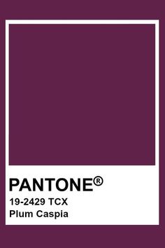 the pantone color is shown in purple