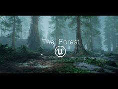 the forest logo with trees in the background