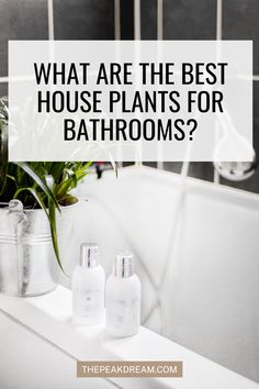 two white bottles sitting on top of a bathtub next to a plant