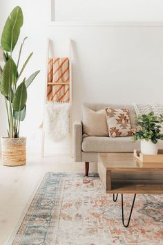 a living room filled with furniture and a large potted plant on top of a coffee table