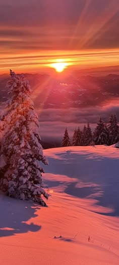 the sun is setting over a snowy mountain with snow covered trees in the foreground