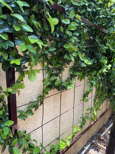 green plants growing on the side of a building next to a wooden pole and fence