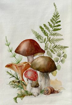 a painting of mushrooms and ferns on a white background