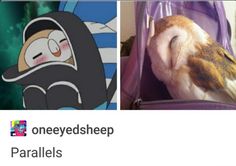 an owl sitting in a purple bag with the caption, one eyed sheep parallels