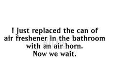 a quote that reads, i just replaced the can of air freshener in the bathroom with an air horn now we wait