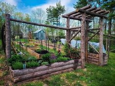 an outdoor garden area with various plants and vegetables in the fenced - off area