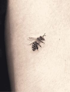 a black and white photo of a bee on the back of a woman's stomach