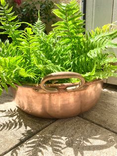 a planter filled with green plants sitting on top of a stone floor next to a door